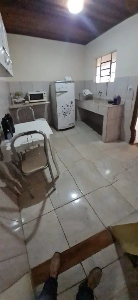 imagem 5 - Locação de Área Rural no Pinhão do Borba - Pindamonhangaba imagem 5 - Locação de Área Rural no Pinhão do Borba - Pindamonhangaba