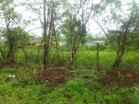 imagem 1 - Terreno no Massaguaçu imagem 1 - Terreno no Massaguaçu