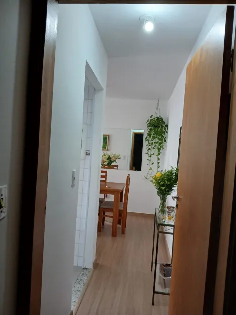 imagem 1 - Apartamento - Padrão imagem 1 - Apartamento - Padrão