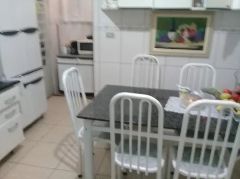 imagem 4 - Chácara de 8 mil m². Repleta de árvores frutíferas e com piscina e churrasqueira. imagem 4 - Chácara de 8 mil m². Repleta de árvores frutíferas e com piscina e churrasqueira.
