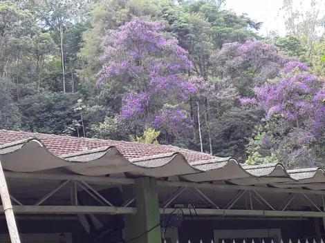 imagem 2 - Chácara de 8 mil m². Repleta de árvores frutíferas e com piscina e churrasqueira. imagem 2 - Chácara de 8 mil m². Repleta de árvores frutíferas e com piscina e churrasqueira.