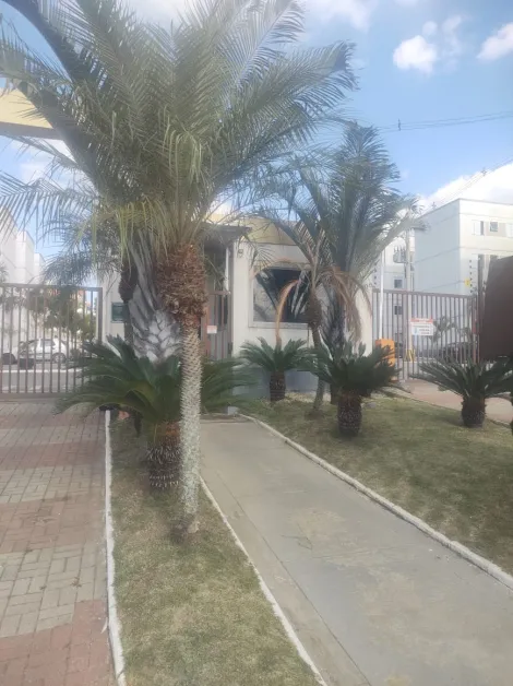 imagem 3 - Apartamento para locação no Santa Inês III em São José dos Campos imagem 3 - Apartamento para locação no Santa Inês III em São José dos Campos