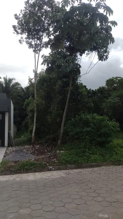 imagem 3 - Venda a vista, Financiamento e Estuda Proposta, Estuda também permuta por um casa pronta a negociar. imagem 3 - Venda a vista, Financiamento e Estuda Proposta, Estuda também permuta por um casa pronta a negociar.