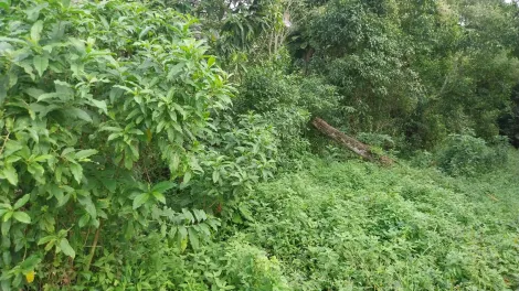 imagem 4 - Venda a vista, Financiamento e Estuda Proposta, Estuda também permuta por um casa pronta a negociar. imagem 4 - Venda a vista, Financiamento e Estuda Proposta, Estuda também permuta por um casa pronta a negociar.