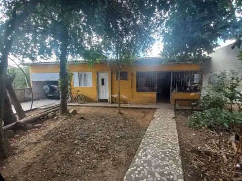 imagem 2 - Linda Casa espaçosa com edícula no Morro do Algodão imagem 2 - Linda Casa espaçosa com edícula no Morro do Algodão