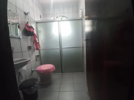 imagem 5 - Linda Casa espaçosa com edícula no Morro do Algodão imagem 5 - Linda Casa espaçosa com edícula no Morro do Algodão