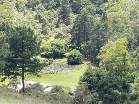 imagem 3 - Terreno à venda no Alto da Água Santa em Campos do Jordão imagem 3 - Terreno à venda no Alto da Água Santa em Campos do Jordão