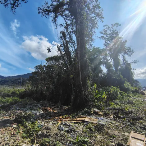 imagem 1 - Terreno - Padrão imagem 1 - Terreno - Padrão