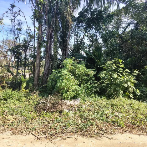 imagem 3 - Terreno - Padrão imagem 3 - Terreno - Padrão