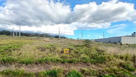imagem 1 - Terreno à venda no Alto da Mata I em Taubaté, com 250m²! imagem 1 - Terreno à venda no Alto da Mata I em Taubaté, com 250m²!