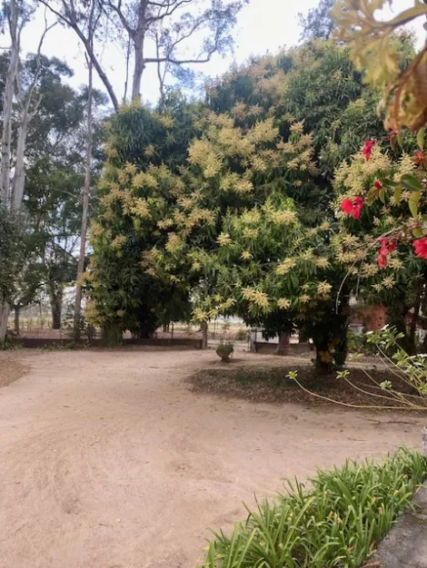 imagem 1 - SÍTIO À VENDA 300.000 m² - CAÇAPAVA imagem 1 - SÍTIO À VENDA 300.000 m² - CAÇAPAVA