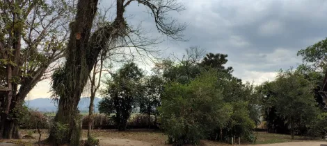 imagem 3 - SÍTIO À VENDA 300.000 m² - CAÇAPAVA imagem 3 - SÍTIO À VENDA 300.000 m² - CAÇAPAVA