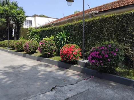 imagem 3 - Apartamento para Locação - 78m² / 3 Dormitórios / Jardim Maringá, São José dos Campos imagem 3 - Apartamento para Locação - 78m² / 3 Dormitórios / Jardim Maringá, São José dos Campos
