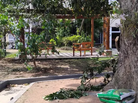 imagem 2 - Apartamento para Locação - 78m² / 3 Dormitórios / Jardim Maringá, São José dos Campos imagem 2 - Apartamento para Locação - 78m² / 3 Dormitórios / Jardim Maringá, São José dos Campos