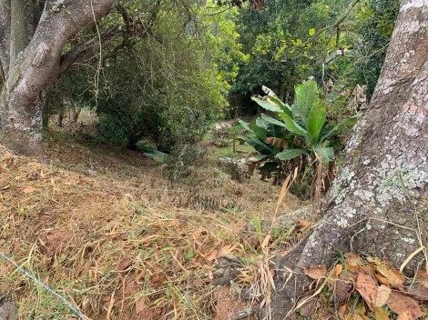imagem 4 - Terreno à Venda no Bairro Chácara Nova em Santa Branca imagem 4 - Terreno à Venda no Bairro Chácara Nova em Santa Branca