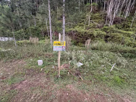 imagem 5 - TERRENO 288M2 - MASSAGUAÇU - CAPRICORNIO III imagem 5 - TERRENO 288M2 - MASSAGUAÇU - CAPRICORNIO III