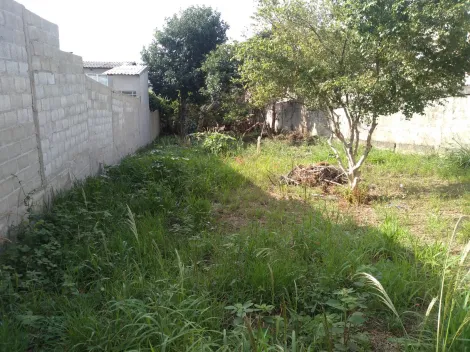 imagem 3 - Terreno - Padrão imagem 3 - Terreno - Padrão