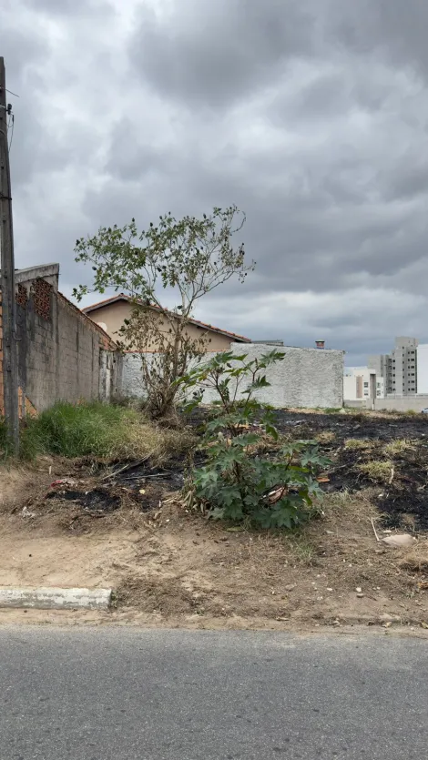 imagem 2 - Terreno a venda no bairro Maria Aurea em Pindamonhangaba. imagem 2 - Terreno a venda no bairro Maria Aurea em Pindamonhangaba.