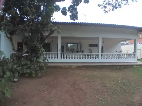 imagem 2 - Oportunidade de investimento: Venda de Casa comercial no Jardim Apolo imagem 2 - Oportunidade de investimento: Venda de Casa comercial no Jardim Apolo