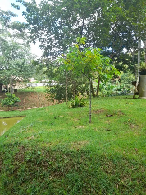 imagem 5 - Venda Chácara de 3000m² com Lago e Pomar - O seu refúgio de paz imagem 5 - Venda Chácara de 3000m² com Lago e Pomar - O seu refúgio de paz