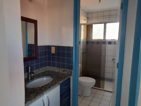 imagem 2 - Venda ou Locação Apartamento de 40m² - Jardim São Dimas imagem 2 - Venda ou Locação Apartamento de 40m² - Jardim São Dimas