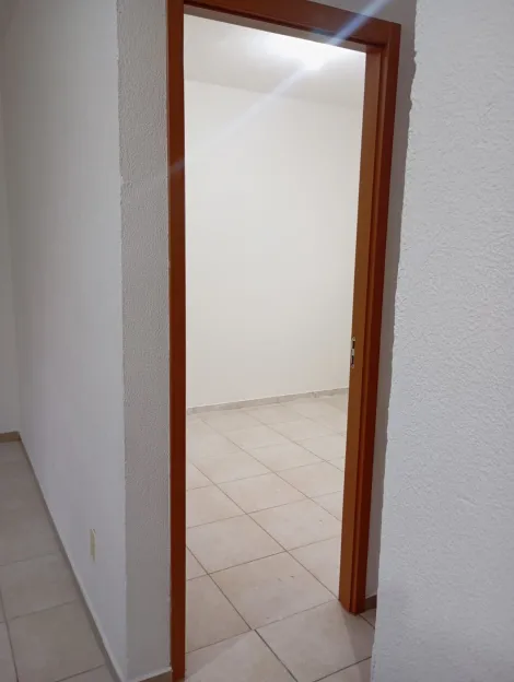 imagem 1 - Locação de Apartamento 40m² - Jardim Nova Michigan imagem 1 - Locação de Apartamento 40m² - Jardim Nova Michigan
