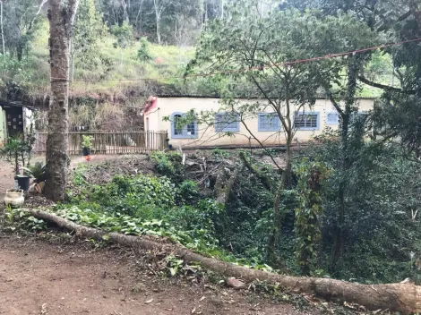 imagem 1 - Venda de Sítio em Santo Antônio do Pinhal - Natureza, Tranquilidade e Beleza em um só lugar! imagem 1 - Venda de Sítio em Santo Antônio do Pinhal - Natureza, Tranquilidade e Beleza em um só lugar!