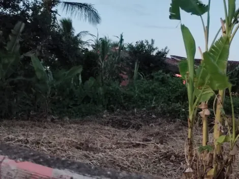 imagem 5 - Terreno no Bairro Perequê Mirim em Caraguatatuba imagem 5 - Terreno no Bairro Perequê Mirim em Caraguatatuba