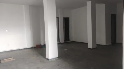 imagem 2 - Galpão espaçoso com 200 m., frente mar praia do Massaguaçu imagem 2 - Galpão espaçoso com 200 m., frente mar praia do Massaguaçu