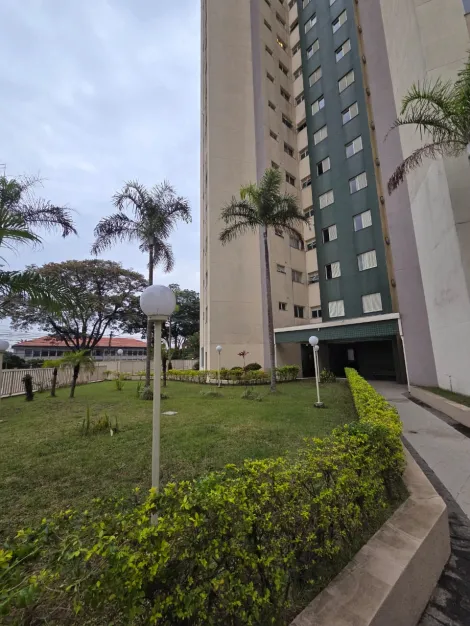 imagem 3 - Apartamento Completo no Jardim Aquarius - Pronto para Morar! imagem 3 - Apartamento Completo no Jardim Aquarius - Pronto para Morar!