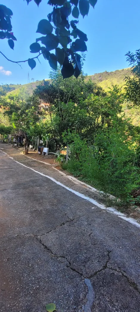 imagem 5 - Sítio a Venda Bairro dos Freitas imagem 5 - Sítio a Venda Bairro dos Freitas