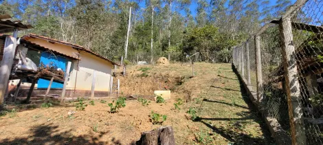 imagem 2 - Sítio a Venda Bairro dos Freitas imagem 2 - Sítio a Venda Bairro dos Freitas